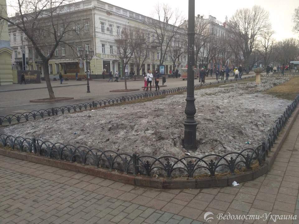 В Одессе местные жители "облагораживают" зелёную зону окурками (фото)