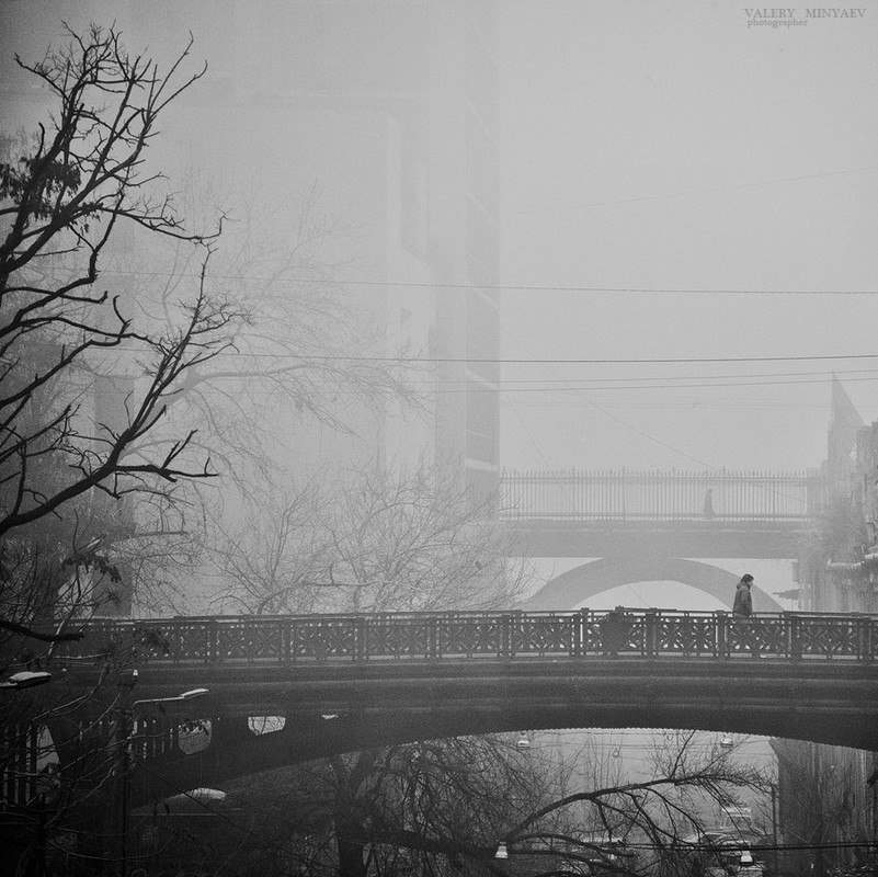 Таинственная туманная Одесса (Фото)