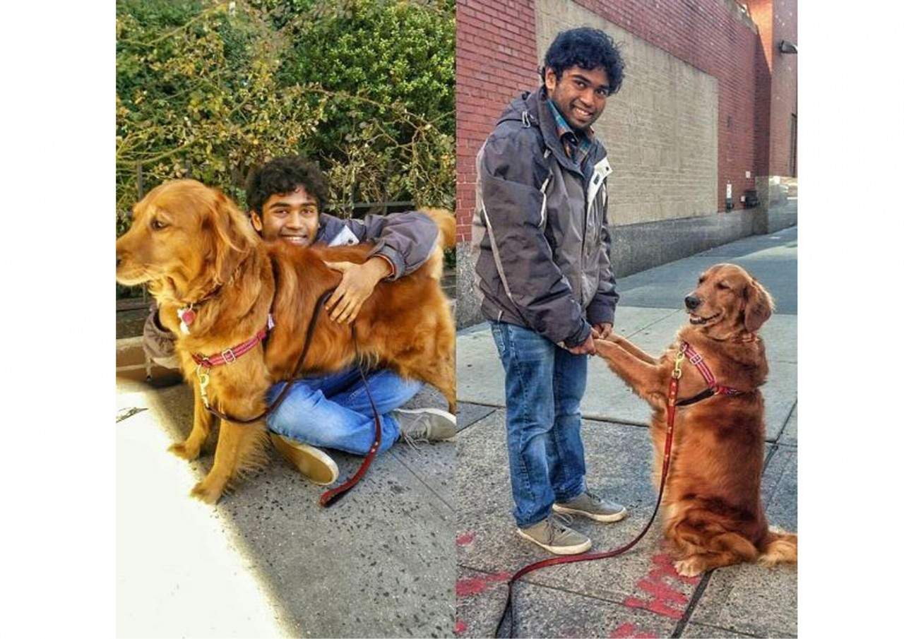 «Обнимательная» собака: ретривер из Нью-Йорка стал звездой соцсетей (видео)
