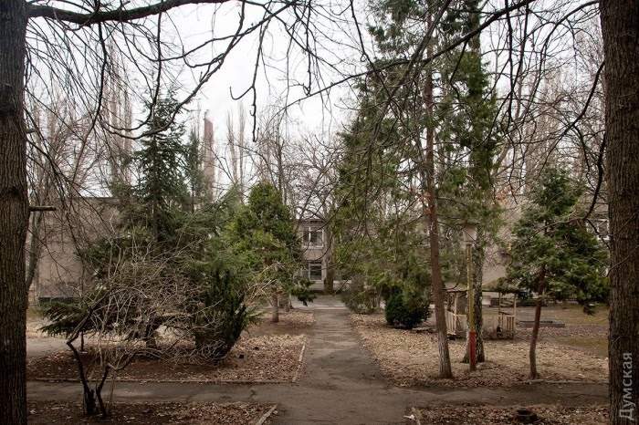 В Одессе медленно умирает ботанический сад с редкими растениями (фото)