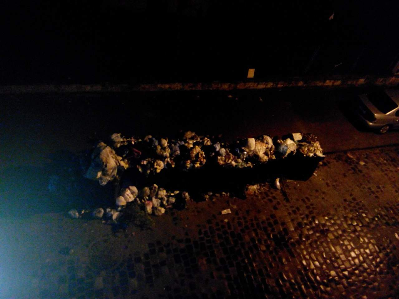 Во Львове опять не убирают мусор с улиц (Фото)