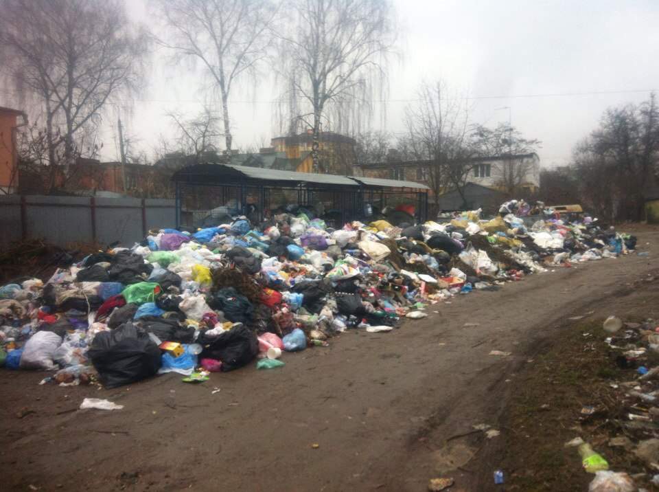 Во Львове опять не убирают мусор с улиц (Фото)