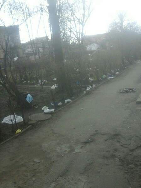 Во Львове поднялся небольшой ветерок, в результате мусор  повсюду (Фото)