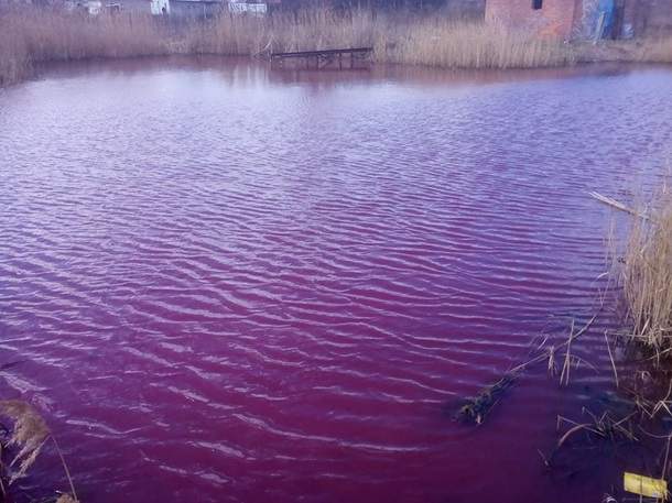 Чудеса природы: в Черниговской области в пресном озере вода приняла розовый цвет (фото)