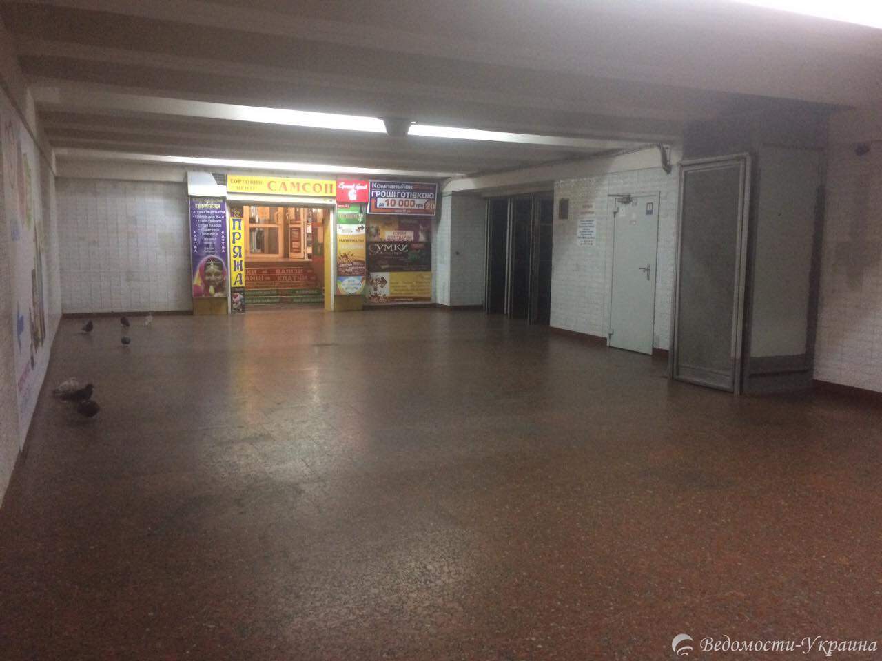 Птичий помёт и отбитая плитка: как выглядит вход в одну из столичных станций метро (фото)