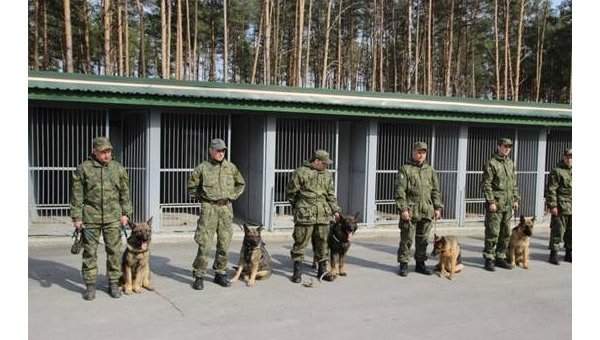 Вместе с полицейским Евровидение -2017 будут охранять огромное количество собак