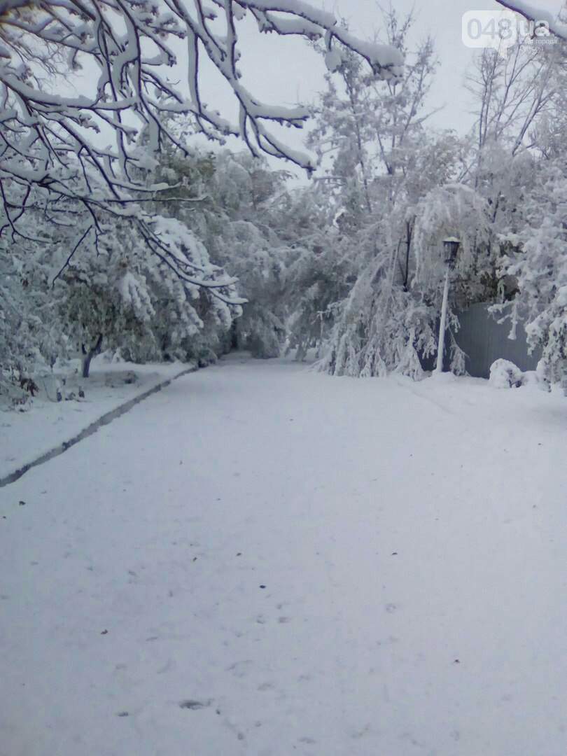«Белый двор, белый сад, белые дорожки…» : жители Болграда вернулись в зиму (фото)