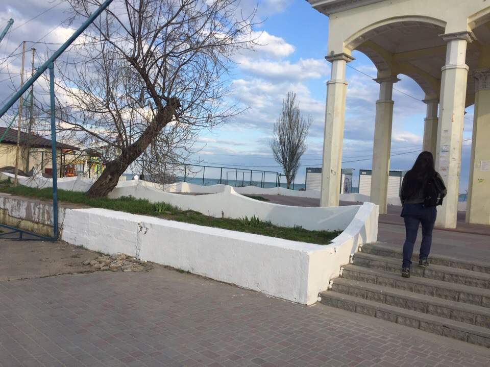 Белые деревья, белые бордюры: деккоммунизация не добралась до Одессы (фото