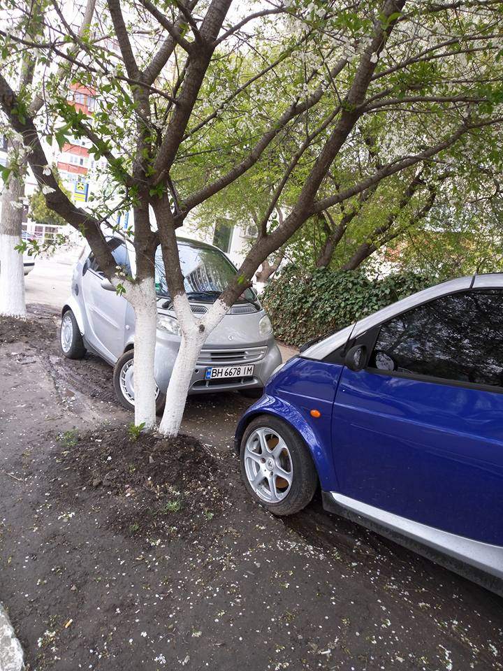 В Одессе очень маленькие машины паркуются, где хотят (Фото)