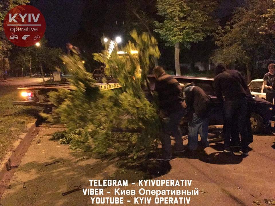В Киеве пьяный водитель на полном ходу влетел в дерево (Видео, фото)