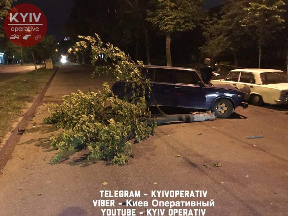 В Киеве пьяный водитель на полном ходу влетел в дерево (Видео, фото)