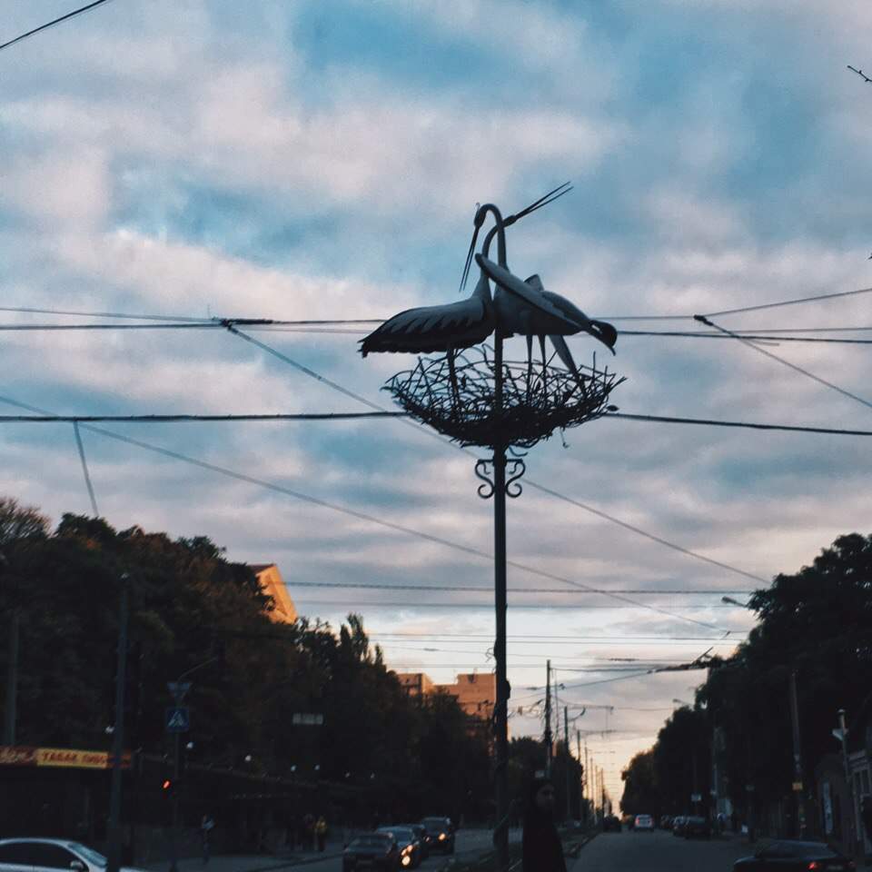 Весенний город Запорожье во всей своей красе (Фото)
