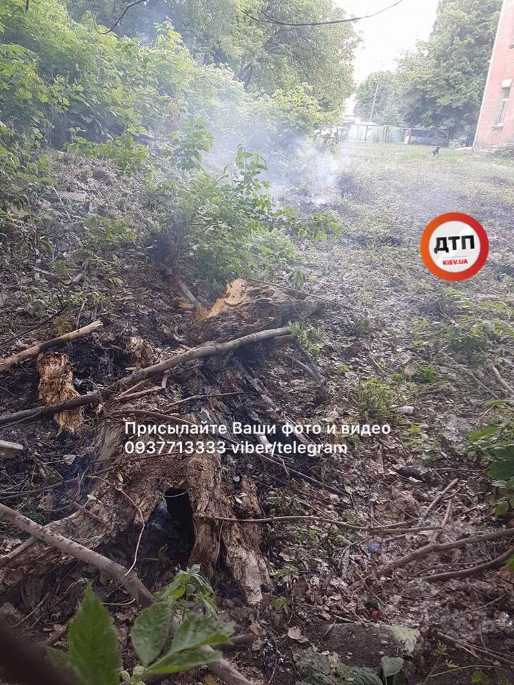 В Киеве загорелась мусорная свалка (фото)