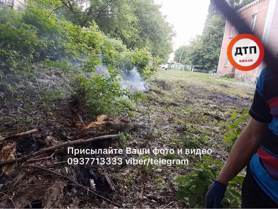 В Киеве загорелась мусорная свалка (фото)