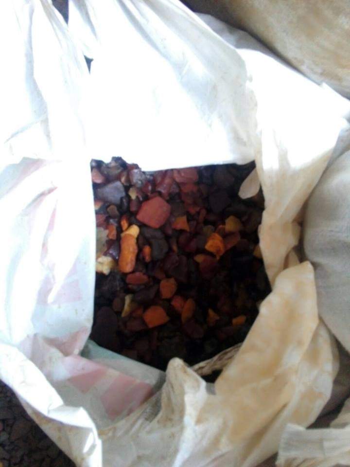 Из подпольных цехов в Волынской области изъяли несколько сотен килограммов янтаря (фото)