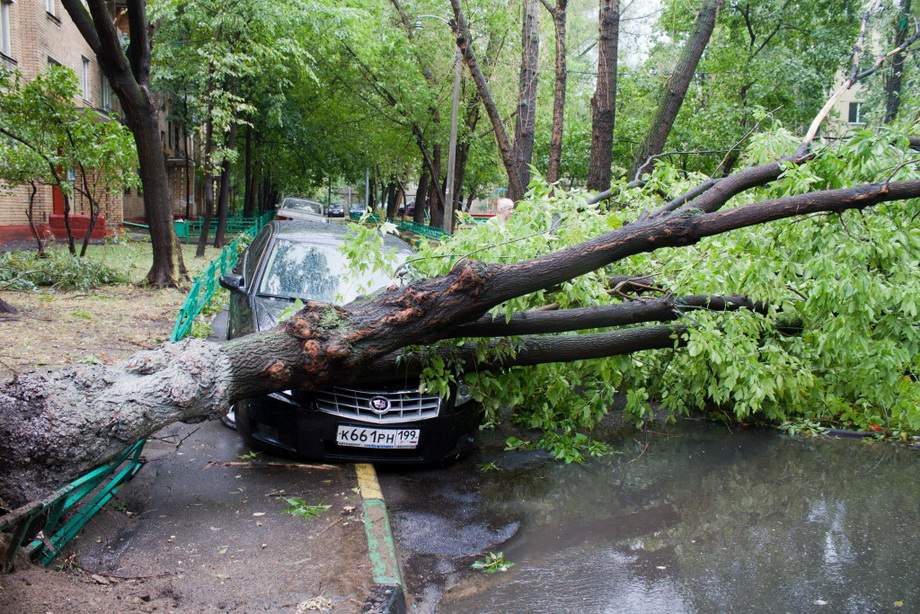 В результате сокрушительного урагана в Москве погиб украинец (фото)