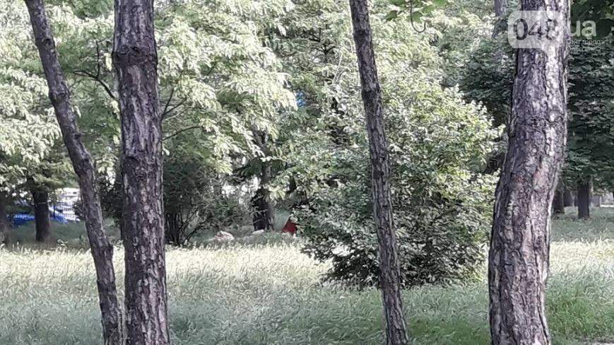"Я пришел к тебе с приветом": В Одессе на Куликово поле снова заселились цигане (фото)