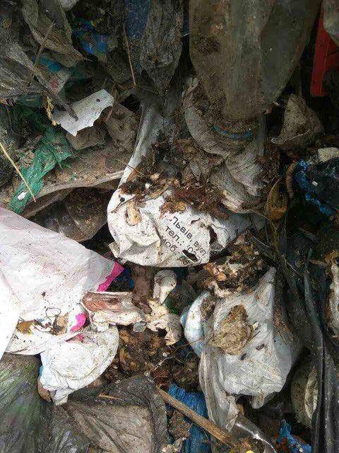 На Киевщине львовские фуры незаконно выгрузили бытовые отходы (фото)