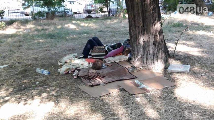 Возвращение непрошеных гостей: в Одессе Куликово поле заполонили бездомные (фото)
