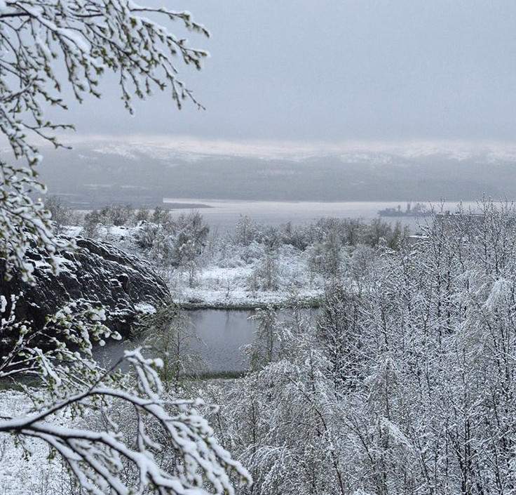 Летняя аномалия: Мурманск засыпало снегом (видео)