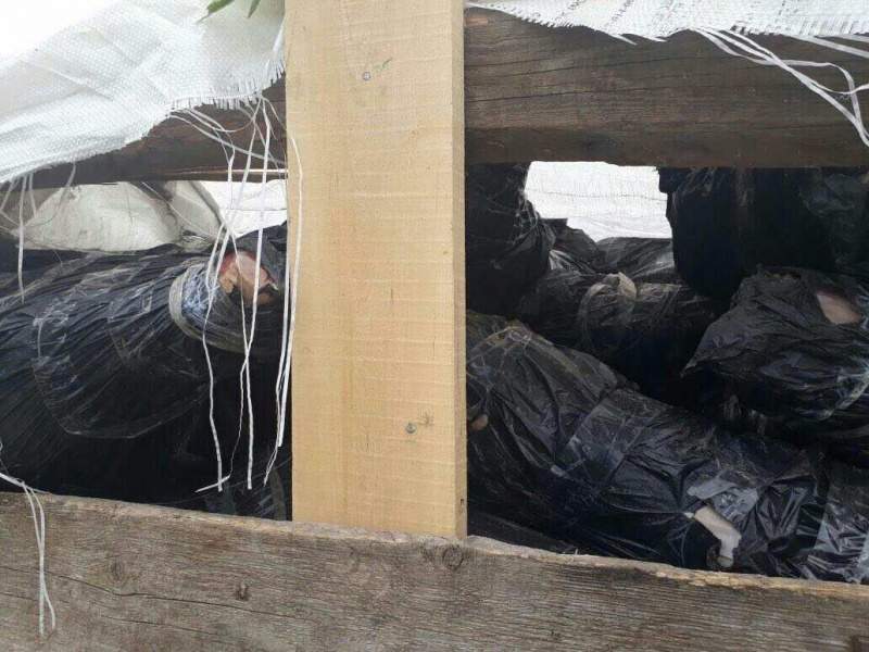 На Сумщине пограничники пресекли попытку контрабанды партии мяса в РФ (фото)