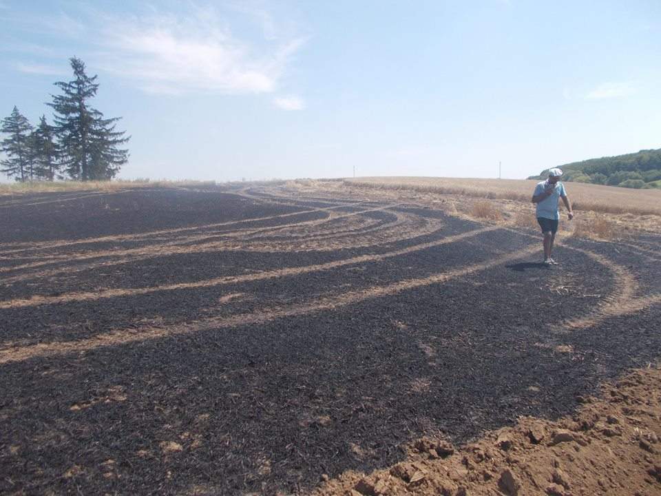 На Тернопольщине произошел масштабный пожар на пшеничном поле (Фото)