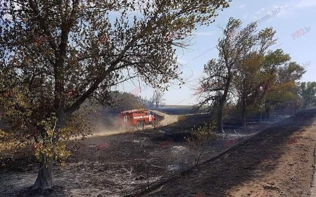 В Запорожской области крупный пожар уничтожил несколько десятков домов и автомобили (Фото)