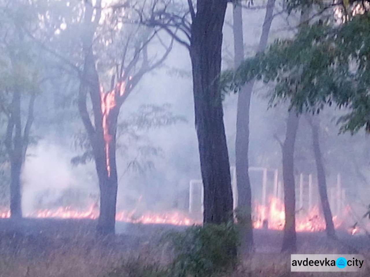 В Авдеевке загорелась территория школы (Фото)