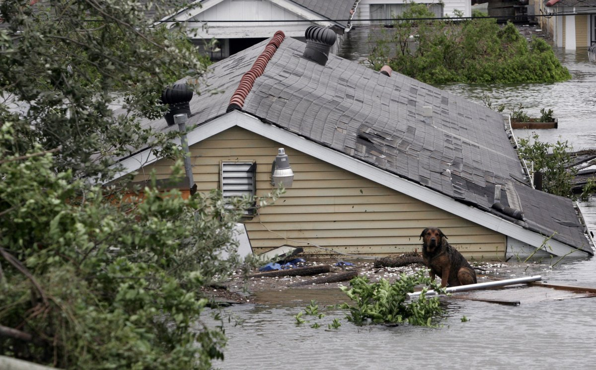 Угроза взрыва на химзаводе в Техасе возникла из-за урагана 