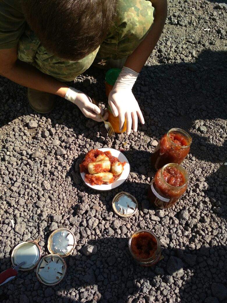 На Донбассе пограничники обнаружили "сладкие" наркотики (Видео) 