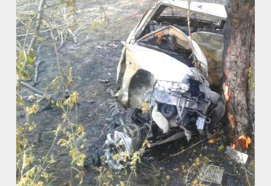 На Харьковщине Skoda влетела в дерево и загорелась: 2 человека погибли мгновенно (фото)