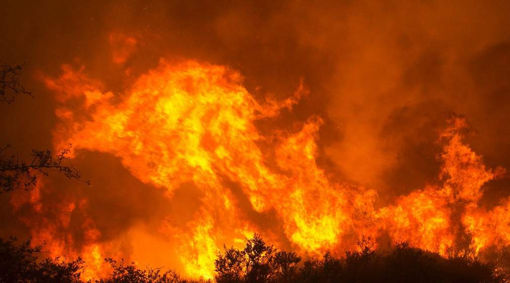 Калифорнию охватили лесные пожары (фото, видео)