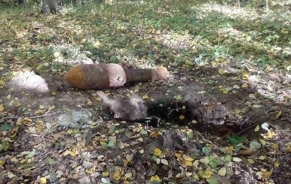 В Киевской области житель села обнаружил турбореактивную мину (фото)