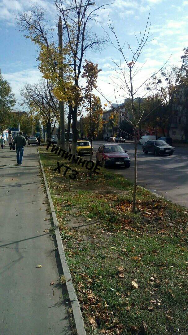 В Харькове посреди улицы обнаружили труп мужчины (фото)