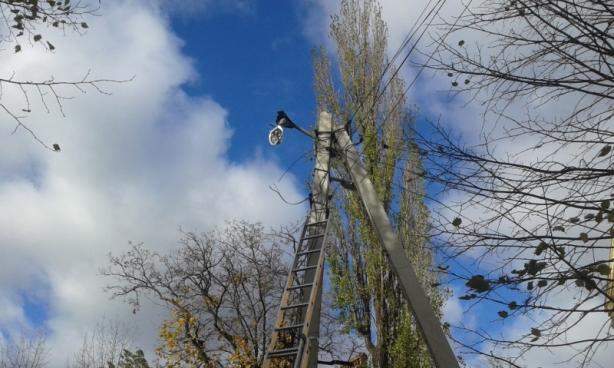 В Черновцах после урагана начался деревопад (фото)