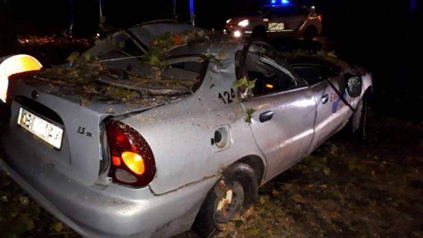 В Черновцах после урагана начался деревопад (фото)