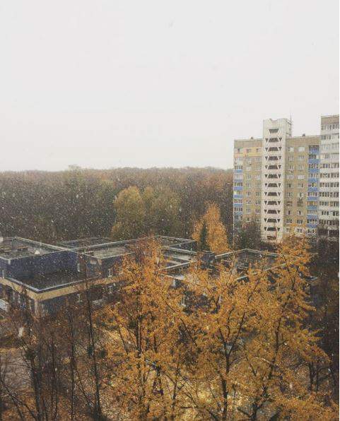 В Киеве выпал первый снег (фото)