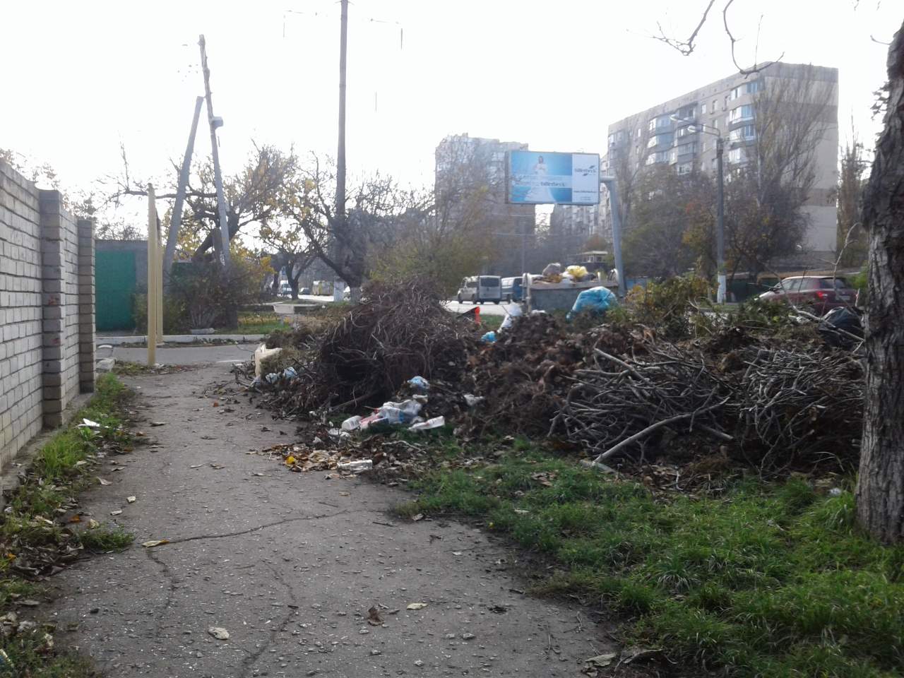 В Одессе мусорная свалка 