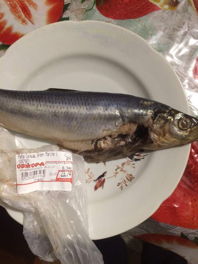 Фотофакт: в одесской «Обжоре» продают гнилую рыбу (фото)