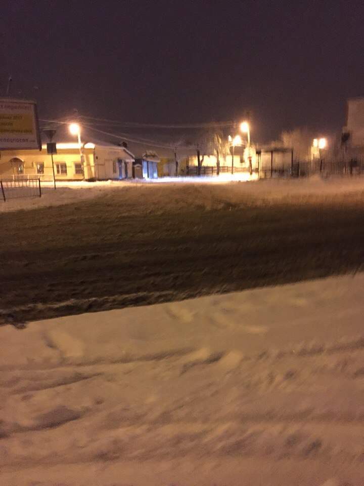 Львовскую область засыпало снегом: из-за непогоды ограничили движение транспорта (фото)