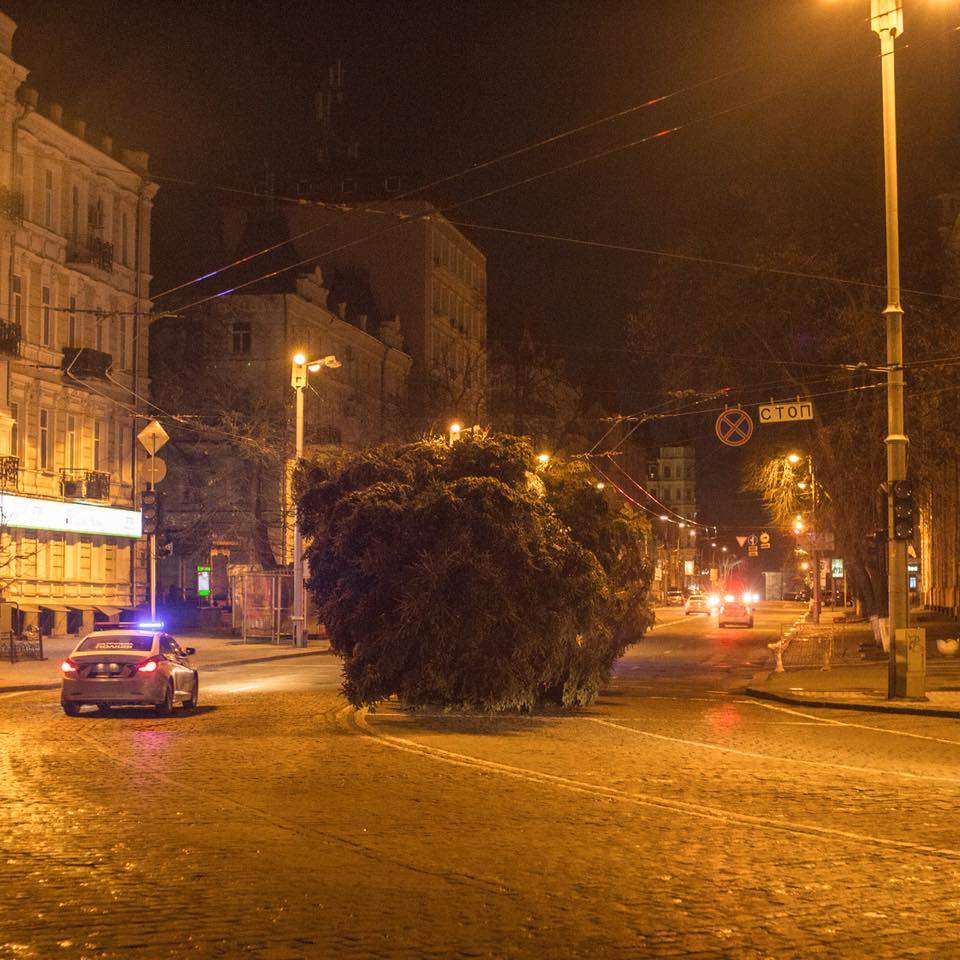 В Киеве главную ёлку страны готовят к Новому году (Фото)