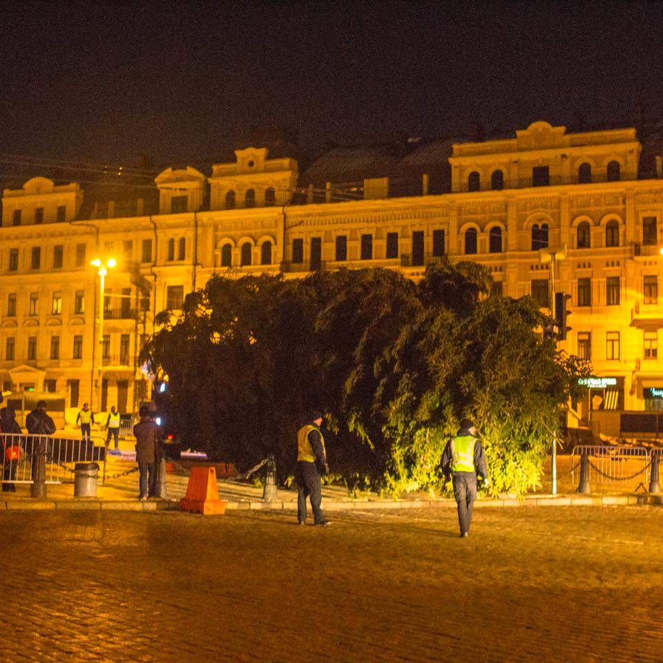 В Киеве главную ёлку страны готовят к Новому году (Фото)