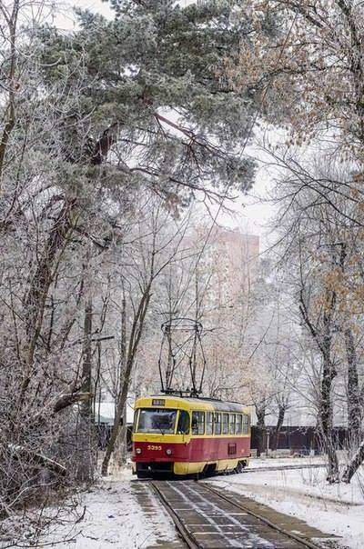 Красота зимнего Киева очаровывает всех (Фото)
