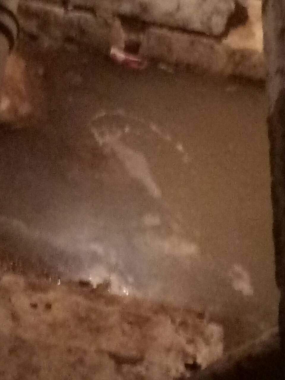В Харькове в многоэтажном доме прорвало канализацию и затопило подвал (фото)