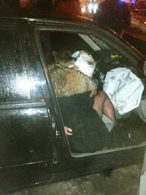 Во Львове пьяный водитель протаранил карету "скорой помощи" (фото)