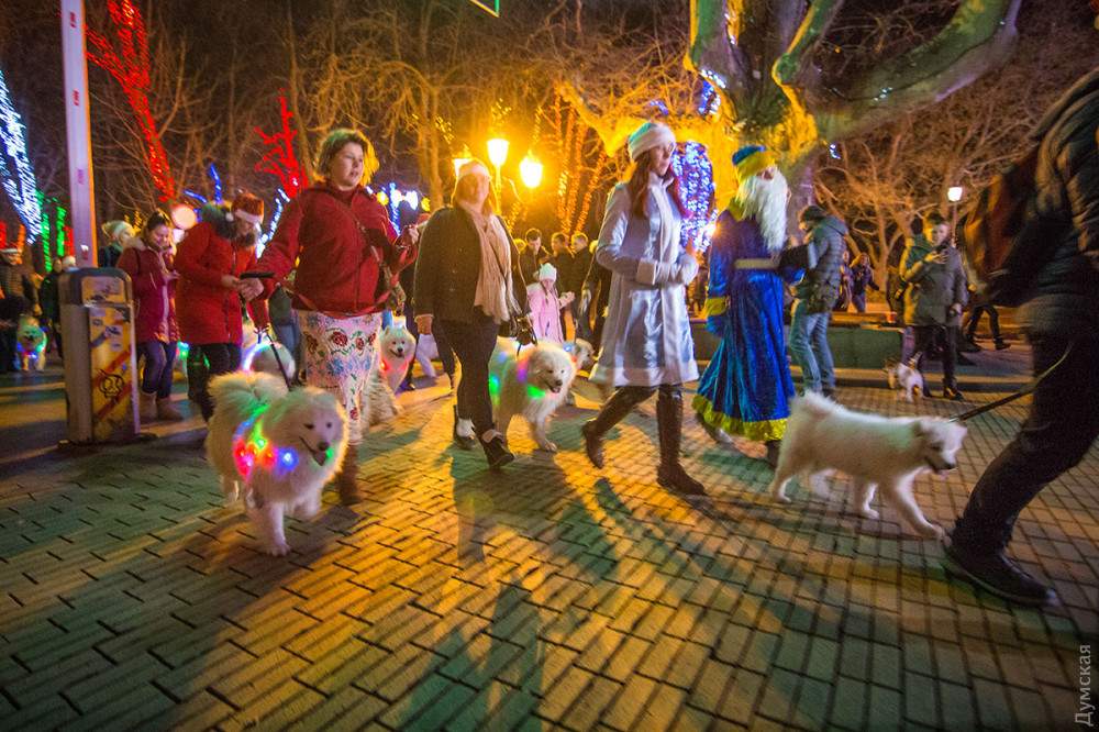 В Одессе состоялся милейший парад (Фото)