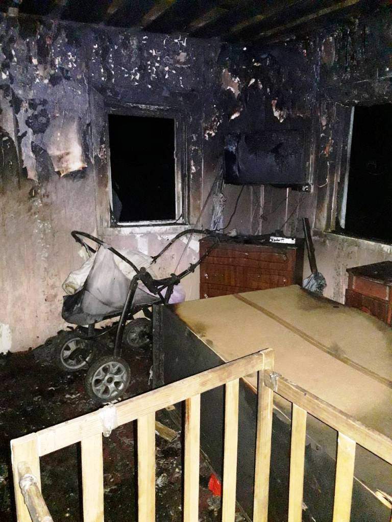 В Житомирской области полуторагодовалый мальчик устроил пожар и сгорел с сестрой (фото)