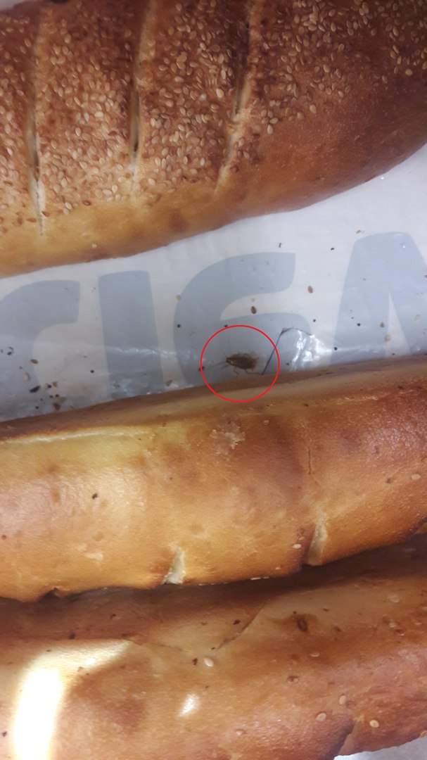 В харьковском магазине на прилавках с хлебом заметили тараканов (фото)