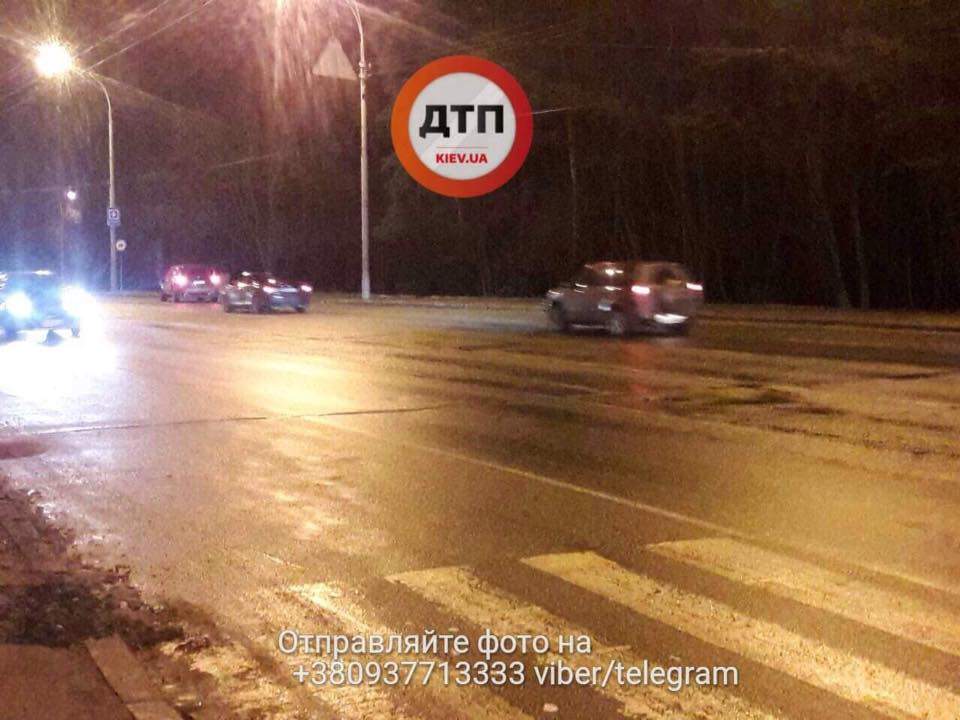 В Киеве водитель совершил наезд на пешехода с собакой (фото)