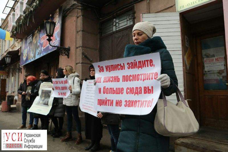 "Цирк — бизнес на крови": в Одессе защитники животных устроили очередную акцию протеста (фото)
